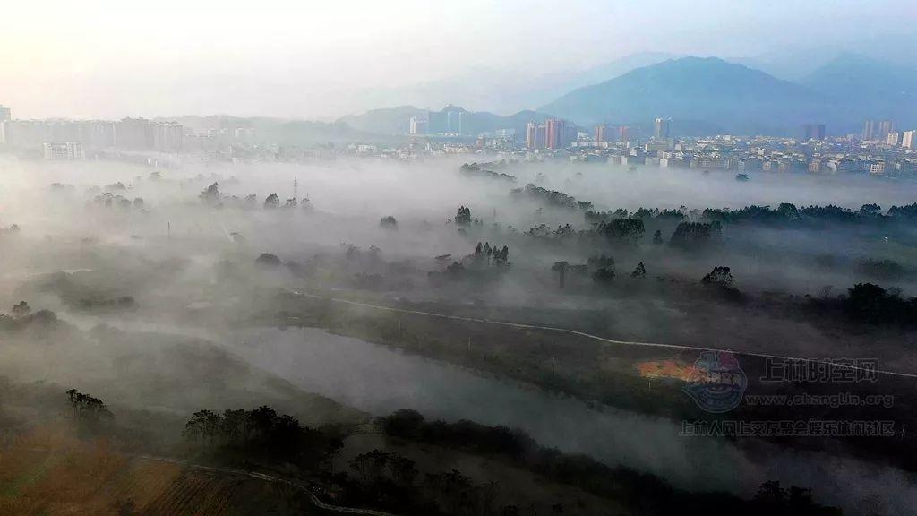 装甲坦克大战无敌版