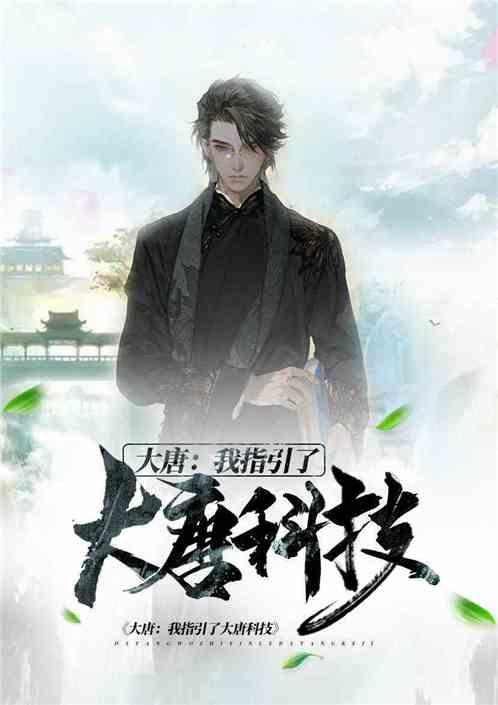 生化危机：浣熊市行动