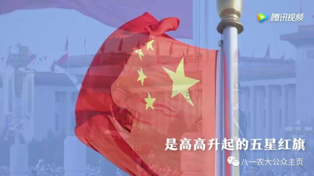 寒夜网布卷入车轮被困梁子湖交警暖心救助