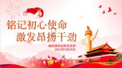 见证者