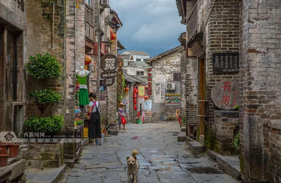 动物滑动拼图