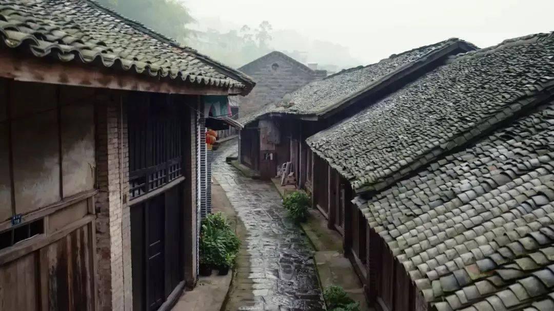 缤纷水果茶无敌版